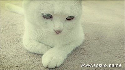 �μ�������һ��Է�,�����μ�������һ��Է�