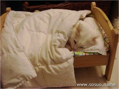 �μ��Լ����Լ�����ҧ����,�����μ��Լ����Լ�����ҧ����