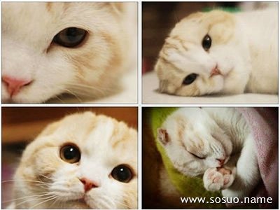 �μ����׵Ĺײ�,�����μ����׵Ĺײ�