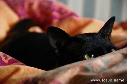 �μ����ӱ�����ҧ��,�����μ����ӱ�����ҧ��