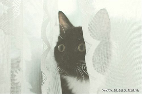 �μ������Ķ���,�����μ������Ķ���