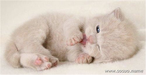 梦见和家人赶马车在水里过河好不好?