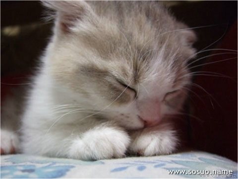 �μ���ɮ�����,�����μ���ɮ�����