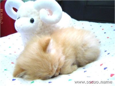 �μ��˶��ֱ�ʱ��,�����μ��˶��ֱ�ʱ��