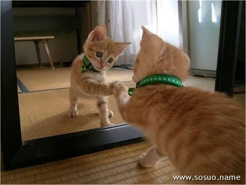 �и��μ��λ�С�к����Լ�����,�����и��μ��λ�С�к����Լ�����