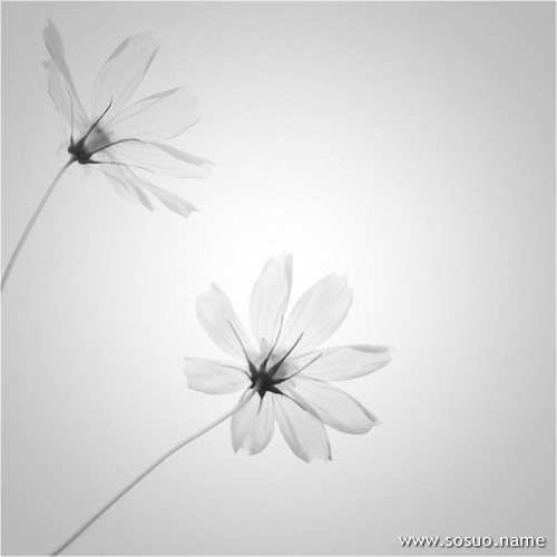 �μ��˵�ʿ,�����μ��˵�ʿ