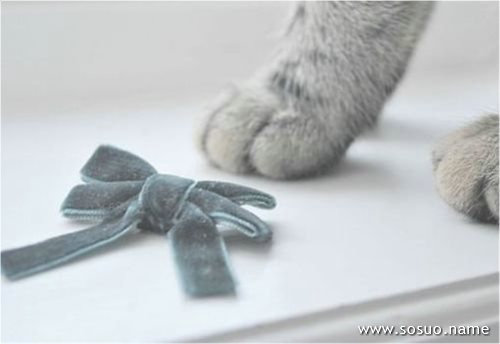 �μ�������������С��,�����μ�������������С��
