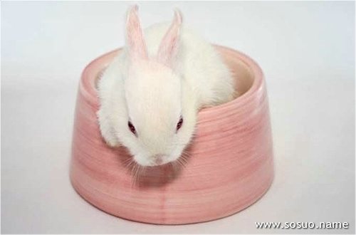 �μ�«��ţ��,�����μ�«��ţ��