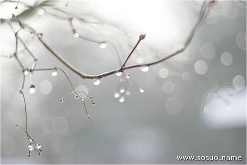 �μ��ʷ絰��,�����μ��ʷ絰��