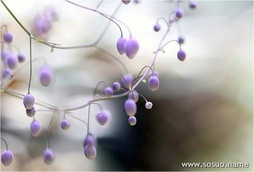 �μ���Ů����,�����μ���Ů����
