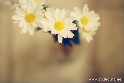 �μ��Լ��׸���,�����μ��Լ��׸���