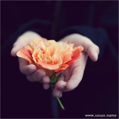 �μ�С����ˮ��������,�����μ�С����ˮ��������