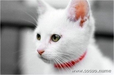 �μ�ǧ�ʴ�,�����μ�ǧ�ʴ�