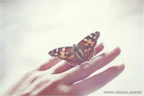 �μ���·�ز��˼�,�����μ���·�ز��˼�