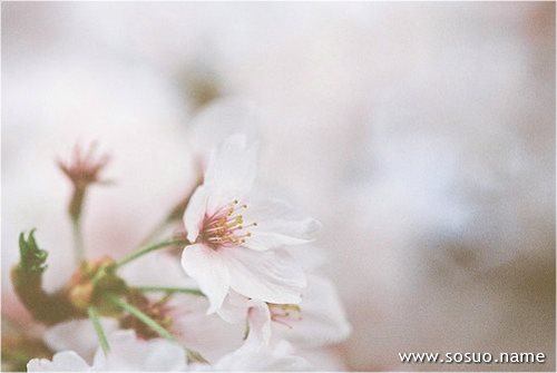 �μ�С������,�����μ�С������