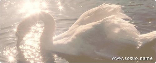 �μ����۷���Ӫ������,�����μ����۷���Ӫ������