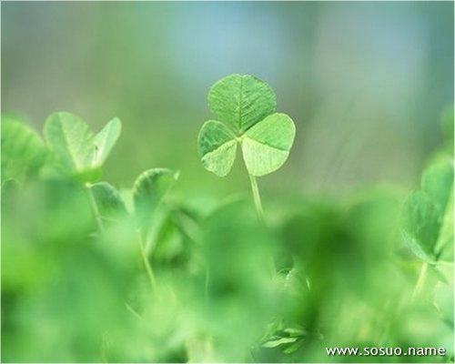 �μ���������С��,�����μ���������С��