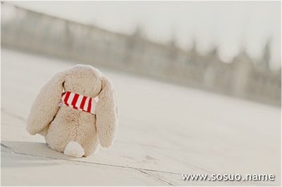 �μ����ճ��,�����μ����ճ��