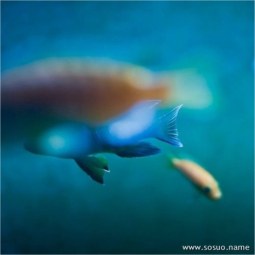 �μ�����Ѫ�ܶ��Ů�ч�����,�����μ�����Ѫ�ܶ��Ů�ч�����