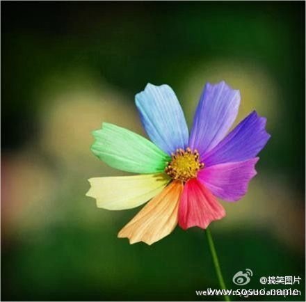 �μ����ϴ�,�����μ����ϴ�