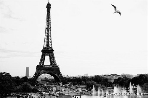�μ��޴�֩�뻤լ,�����μ��޴�֩�뻤լ