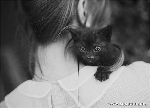 �μ����˴�����,�����μ����˴�����