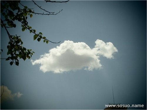 �μ�ϲ����׷ϲ����Ů��,�����μ�ϲ����׷ϲ����Ů��