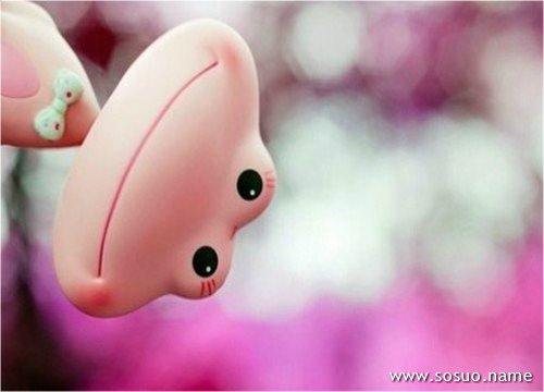 �μ�������ѧУ�޷���,�����μ�������ѧУ�޷���