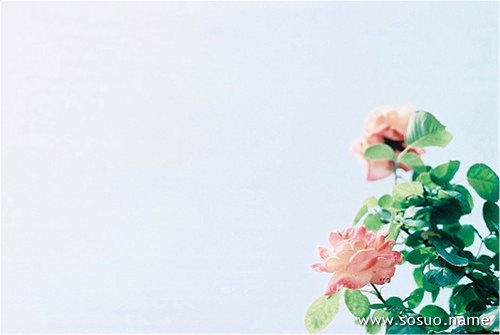 �μ���ҧ,�����μ���ҧ