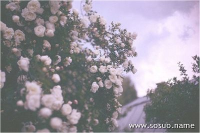 �μ����������ڴ��Ͽ����ڳԷ�,�����μ����������ڴ��Ͽ����ڳԷ�
