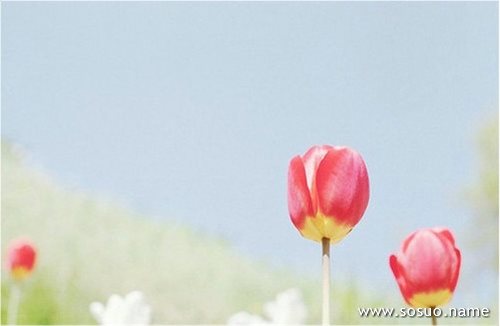 �μ��ƚ�����,�����μ��ƚ�����