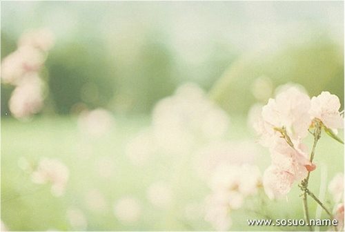 �μ��ʵ�,�����μ��ʵ�