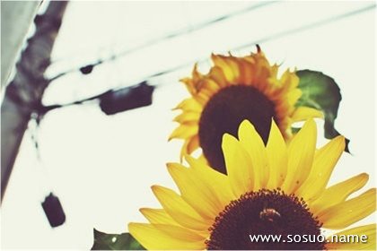 �μ�Ů���Լ���Ӿ,�����μ�Ů���Լ���Ӿ
