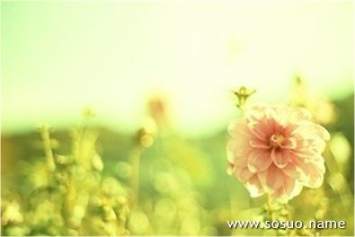 做梦梦见房子倒塌是什么意思 做梦梦见房子倒塌是什么意思
