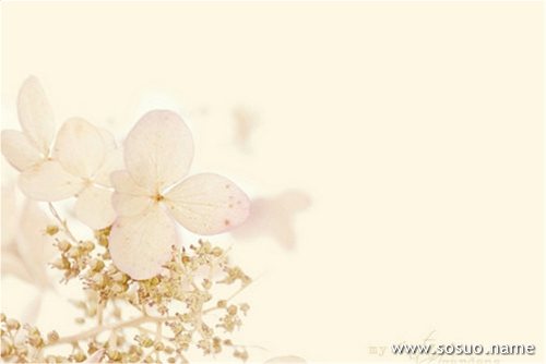 �μ���ǰŮ����������У԰��,�����μ���ǰŮ����������У԰��