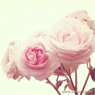 �μ������ѱ���ҧ,�����μ������ѱ���ҧ