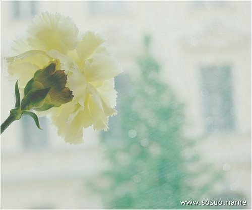 �μ�Ů�˵���һ������,�����μ�Ů�˵���һ������