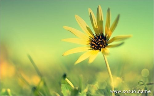 �μ������»�������,�����μ������»�������