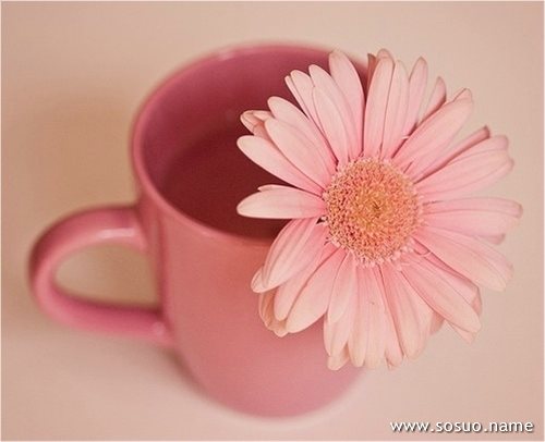 �μ�ʧ��,�����μ�ʧ��