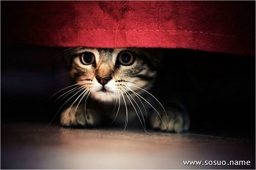 �μ��̴ѵ����ҷ���δ��,�����μ��̴ѵ����ҷ���δ��