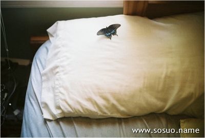 �μ������ڱ�,�����μ������ڱ�
