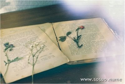 �μ�����ȥ������˵��,�����μ�����ȥ������˵��