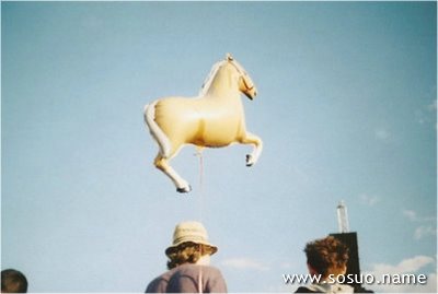 �μ��й�Ȼ��乷׷��,�����μ��й�Ȼ��乷׷��