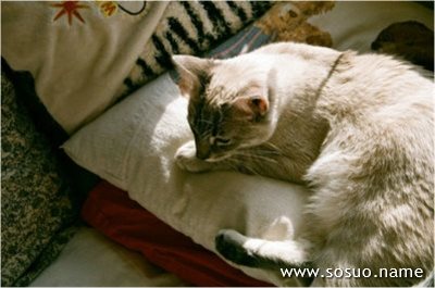 �μ��ͱ��Ů���Խ�,�����μ��ͱ��Ů���Խ�