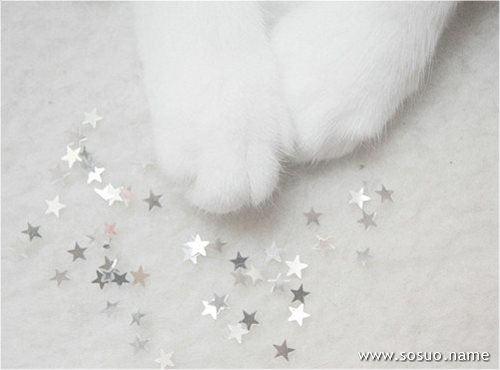 �μ���֭ơ��,�����μ���֭ơ��