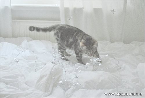 �μ��ܴܵ�¶̨׹��,�����μ��ܴܵ�¶̨׹��