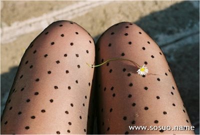 �μ�ȸ�����͵���,�����μ�ȸ�����͵���