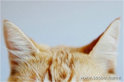 �μ�¼����,�����μ�¼����