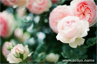 �μ������������һ�����,�����μ������������һ�����