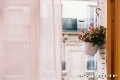 �μ������۵���ҧ��,�����μ������۵���ҧ��